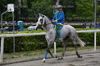 Immagine <b>REG_9150</b>